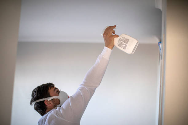 Best Mold Removal Company Near Me  in Jamestown, NC
