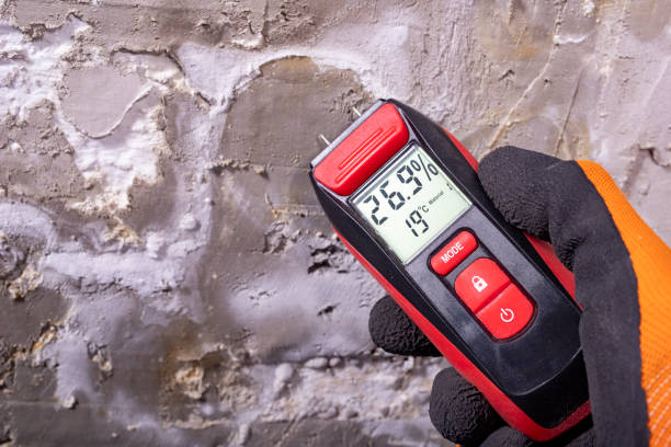 Best Water Damage Restoration  in Jamestown, NC